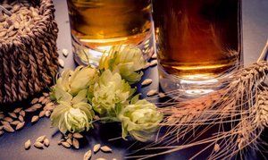 Cómo hacer cerveza artesanal en casa